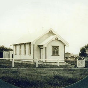 Tauranga