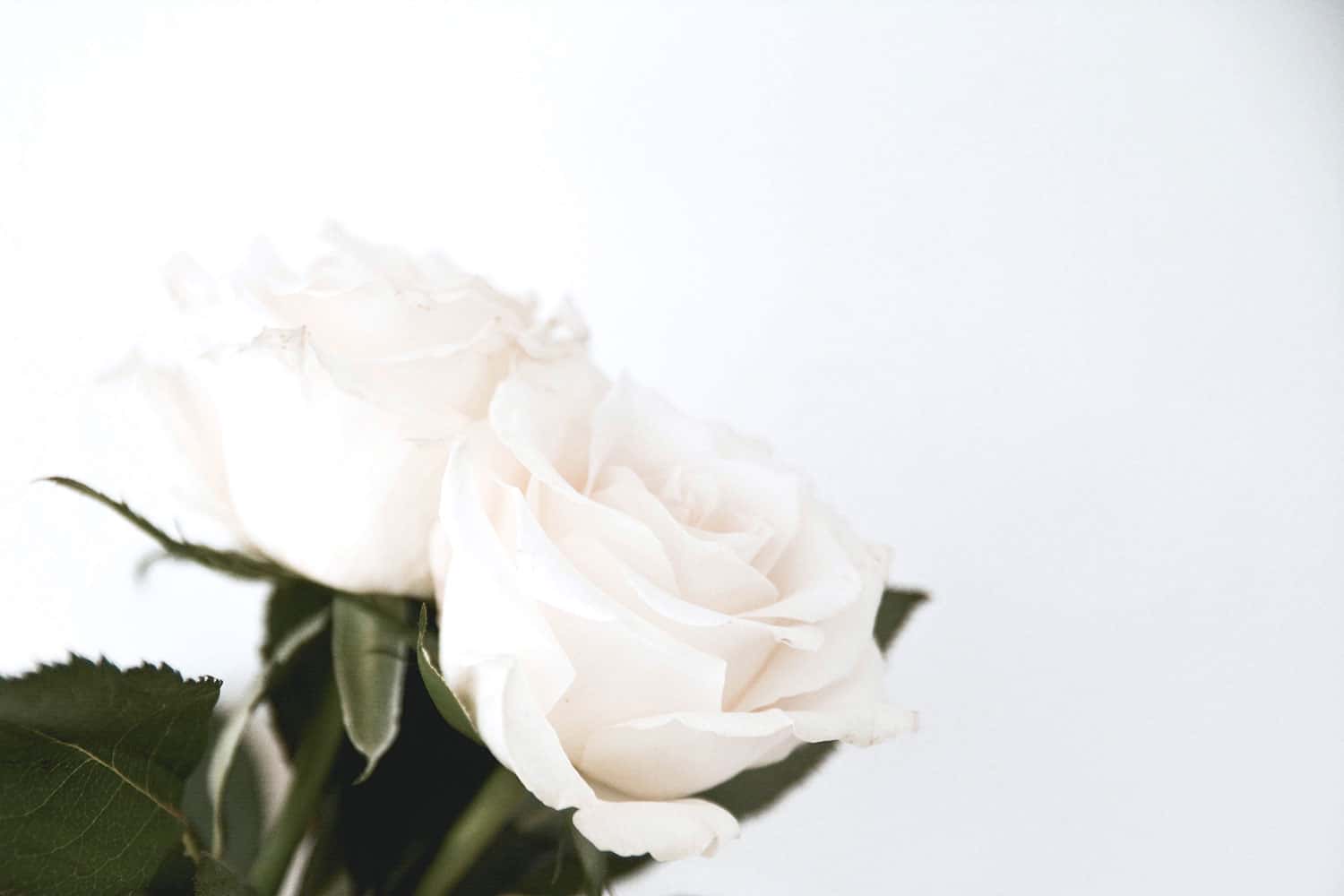 Header When Someone Dies