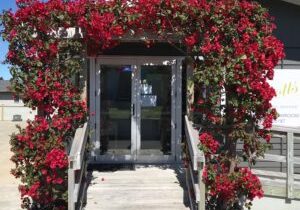 Elliotts Mt Maunganui Gloucester